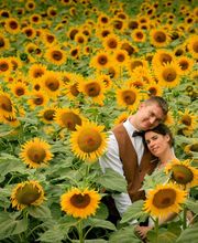 Photographie François Barreto image 10