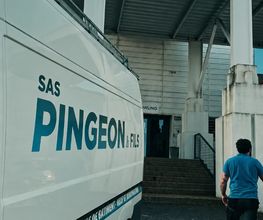 Pingeon et Fils image 1