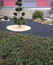 Winterstein Christophe image 6