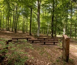 Der Andachtsplatz im FriedWald Bernau ermöglicht eine Trauerfeier unter freiem Himmel.