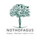 Nothofagus