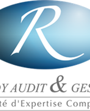 Ruedy Audit & Gestion image 7