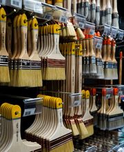 Nuances Unikalo Saintes image 1