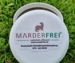 Kreienbühl - Schädlingsbekämpfung Bild 9