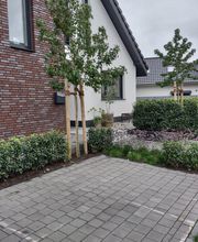 WhatsApp Image 2021-10-18 at 18.12.22 (1).jpeg