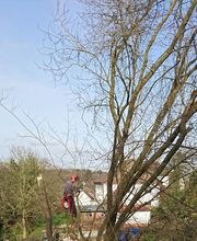 Mein Wunschgarten GmbH Bild 5