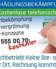 Klavier Zähringer Bild 2