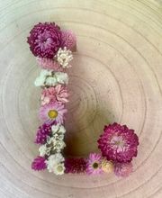 les fleurs d'Hortensia image 9