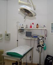 CLINICA VETERINARIA VILLALOBOS imagen 2