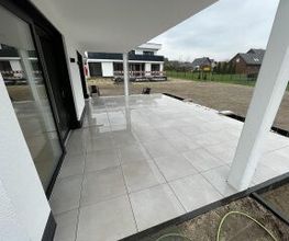 Galabau Löwen Bild 1