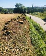 Julien Machefer Elagage EI image 7