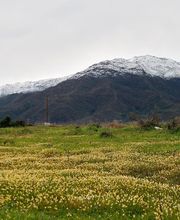 PURISOL PROPERTIES imagen 1