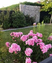 Création Paysage image 16