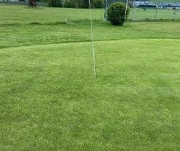 Jgolf-Golf Mägenwil Bild 4