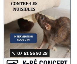 K-RÉ Concept image 3