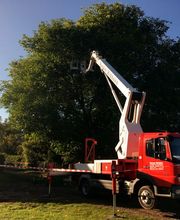 BaumProfis Seifert Bild 2