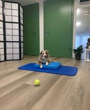 Pilates Garage Susanne Nordenström Bild 5