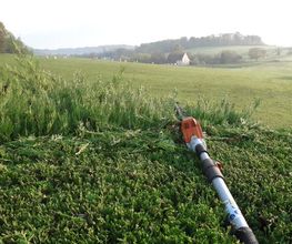 Coulon Paysage image 4