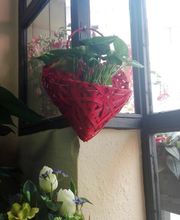 Floristería Manuela imagen 8