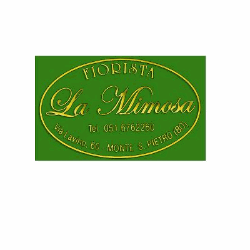 Fiorista La Mimosa logo