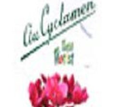 Au Cyclamen image 1