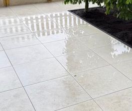 IMG-20250617-WA0013.jpg