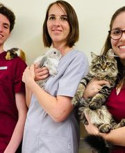 VETMIDI St Prex - Cabinet vétérinaire Bild 1