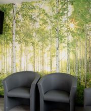 Dentalpraxis Dr. Philipp Bild 12