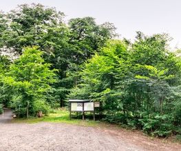 FriedWald Lauterbach Bild 10