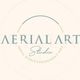 Aerial Art Studio