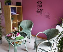 Bine's Hundestyling Bild 4