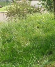 Bossut Multi-Services image 10