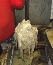 Accesa Desatascos imagen 20