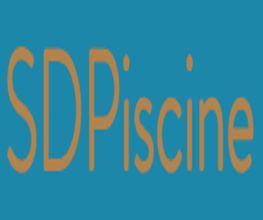 SDTP image 6