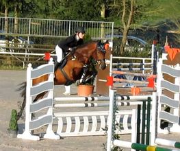 Reitschule Hess Bild 1