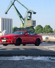 Reul & Keller oHG Bild 13