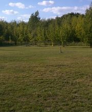 Hundeschule Mosig Bild 13