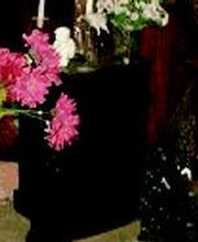 Díaz Floristas imagen 19