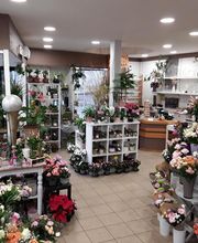 La Tulipe Noire image 9