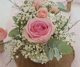 Hellebore image 12