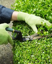 Hézèques Bernard image 2