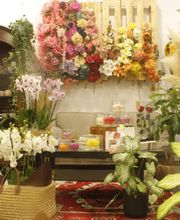 Sara Fiori immagine 9