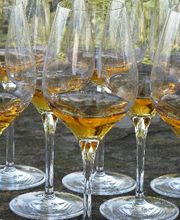 Thomas Fischer Eventcatering Bild 2