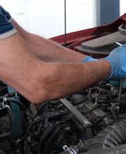 Gallery Professionale