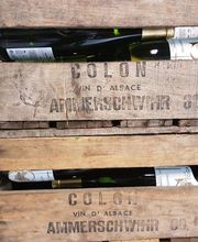 Colon Pierre SCEA image 11