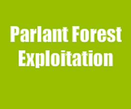 Parlant Forest Exploitation image 1