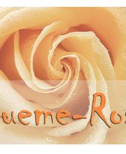 Blueme - Rosig GmbH Bild 1