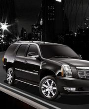 303 Luxury Car Service image 19