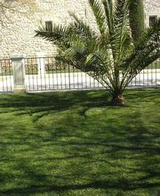 Christol Richard image 9