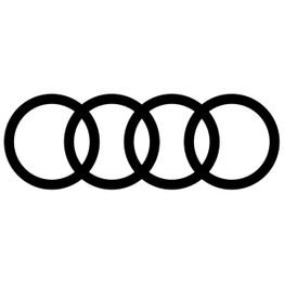 Groupe Péricaud - Audi Limoges